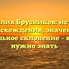 Фамилия Брусников: история происхождения, значение и правильное склонение – все, что нужно знать