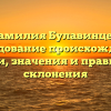 Фамилия Булавинцев: исследование происхождения, истории, значения и правильного склонения