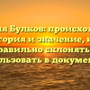 Фамилия Булков: происхождение, история и значение, как правильно склонять и использовать в документах.