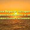 Фамилия Вербер: исторический обзор, происхождение и значение, правильное склонение