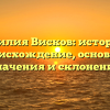 Фамилия Висков: история и происхождение, основные значения и склонение