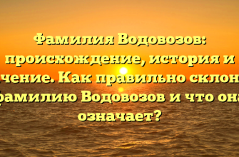 Фамилия Водовозов: происхождение, история и значение. Как правильно склонять фамилию Водовозов и что она означает?