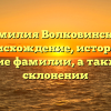 Фамилия Волковинская: происхождение, история и значение фамилии, а также все о склонении