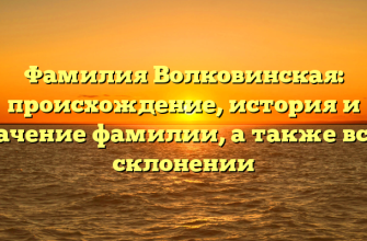 Фамилия Волковинская: происхождение, история и значение фамилии, а также все о склонении