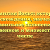 Фамилия Вольт: история происхождения, значения и правильное склонение в единственном и множественном числе