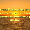 Фамилия Габачиев: история происхождения, значение и образование склонения в русском языке