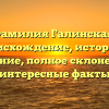 Фамилия Галинская: происхождение, история и значение, полное склонение и интересные факты