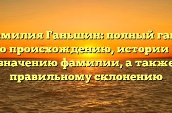 Фамилия Ганьшин: полный гайд по происхождению, истории и значению фамилии, а также правильному склонению