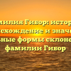 Фамилия Гибор: история, происхождение и значение. Правильные формы склонения для фамилии Гибор