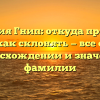 Фамилия Гнип: откуда пришла и как склонять — все о происхождении и значении фамилии