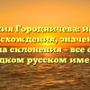 Фамилия Городничева: история происхождения, значение и правила склонения – все об этом редком русском имени