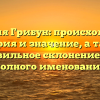 Фамилия Грибун: происхождение, история и значение, а также правильное склонение для полного именования