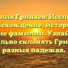 Фамилия Гриняев: Исследуем происхождение, историю и значение фамилии. Узнайте, как правильно склонять Гриняев в разных падежах.