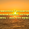 Фамилия Гришагин: происхождение, история и значимость — все, что нужно знать