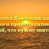 Фамилия Даминова: корни, история и правила склонения – всё, что нужно знать.