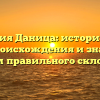 Фамилия Даница: исторический обзор происхождения и значения с учетом правильного склонения