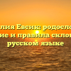 Фамилия Евсик: родословная, значение и правила склонения в русском языке