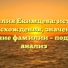 Фамилия Екимцева: история происхождения, значение и склонение фамилии – подробный анализ