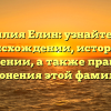 Фамилия Елин: узнайте все о происхождении, истории и значении, а также правила склонения этой фамилии