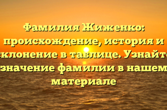 Фамилия Жиженко: происхождение, история и склонение в таблице. Узнайте значение фамилии в нашем материале
