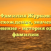 Фамилия Журков: происхождение, значение и склонение – история одной фамилии