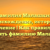 Фамилия Малашкин: происхождение, история и значение | Как правильно склонять фамилию Малашкин