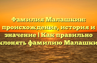 Фамилия Малашкин: происхождение, история и значение | Как правильно склонять фамилию Малашкин