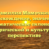 Фамилия Мамочкин: происхождение, значения и грамматическое склонение в исторической и культурной перспективе