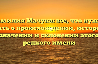 Фамилия Мачука: все, что нужно знать о происхождении, истории, значении и склонении этого редкого имени