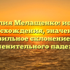Фамилия Мелащенко: история происхождения, значения и правильное склонение для именительного падежа