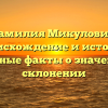 Фамилия Микулович: происхождение и история, интересные факты о значении и ее склонении