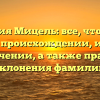 Фамилия Мицель: все, что нужно знать о происхождении, истории и значении, а также правила склонения фамилии