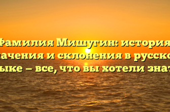 Фамилия Мишугин: история, значения и склонения в русском языке — все, что вы хотели знать!