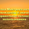 Фамилия Монтроуз: история, происхождение и значение, а также правильное склонение для использования