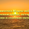 Фамилия Морек: всё о происхождении, истории, значении и способах склонения