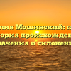 Фамилия Мошинский: полная история происхождения, значения и склонения