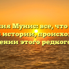 Фамилия Мунис: все, что нужно знать об истории, происхождении и склонении этого редкого имени