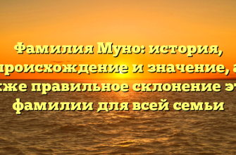 Фамилия Муно: история, происхождение и значение, а также правильное склонение этой фамилии для всей семьи