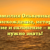 Фамилия Ольховиков: происхождение, история, значение и склонение — все, что нужно знать!