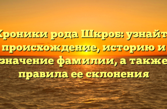 Хроники рода Шкроб: узнайте происхождение, историю и значение фамилии, а также правила ее склонения