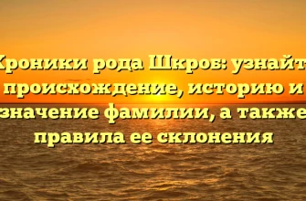 Хроники рода Шкроб: узнайте происхождение, историю и значение фамилии, а также правила ее склонения