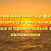 Все, что нужно знать о фамилии Барышполец: происхождение, история и правильный способ склонения