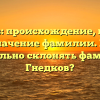 Гнедков: происхождение, история и значение фамилии. Как правильно склонять фамилию Гнедков?