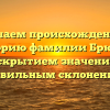Изучаем происхождение и историю фамилии Брюси с раскрытием значения и правильным склонением