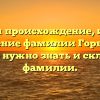Изучаем происхождение, историю и значение фамилии Горбоносов: все, что нужно знать и склонение фамилии.