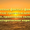 Интересные факты о фамилии Бригид: происхождение и значение, правильное склонение и исторические корни