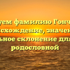 Исследуем фамилию Гончаренко: происхождение, значение и правильное склонение для вашей родословной