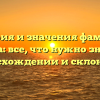 История и значения фамилии Амра: все, что нужно знать о происхождении и склонении