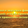 История и значения фамилии Басовский: откуда происходит и как правильно склонять