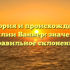 История и происхождение фамилии Ваннер: значение и правильное склонение
